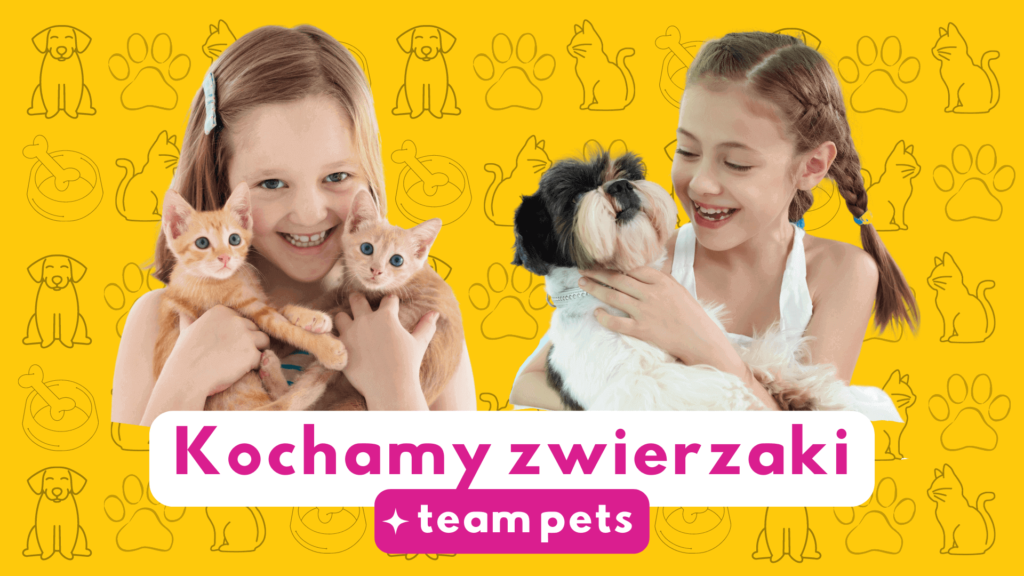 Kochamy zwierzaki - Team Pets - półkolonie letnie dla dzieci w Łodzi 2023