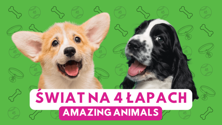 Półkolonie letnie 2025 turnus - Amazing animals - świat na 4 łapach